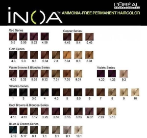 L'Oréal Professionnel iNOA farba do włosów bez amoniaku 10.1 60 g